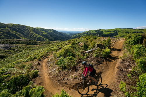 ARAPUKE MOUNTAIN BIKE PARK